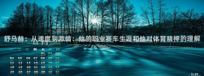 JJB竞技宝官方正版app娱乐40996:舒马赫:从速度到激