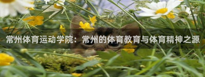 JJB竞技宝官网下载招商电话是多少啊:常州体育运动学院:常州