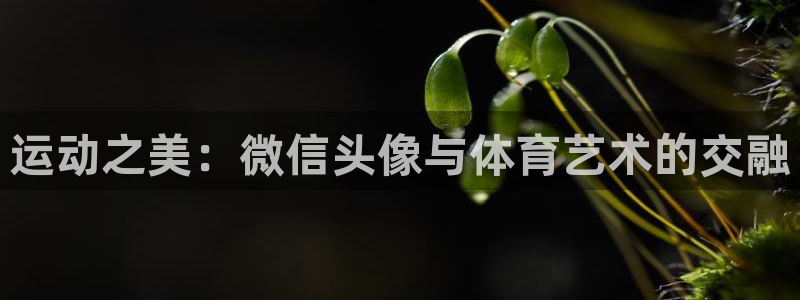 JJB竞技宝官方正版app集团官网首页网址:运动之美:微信头